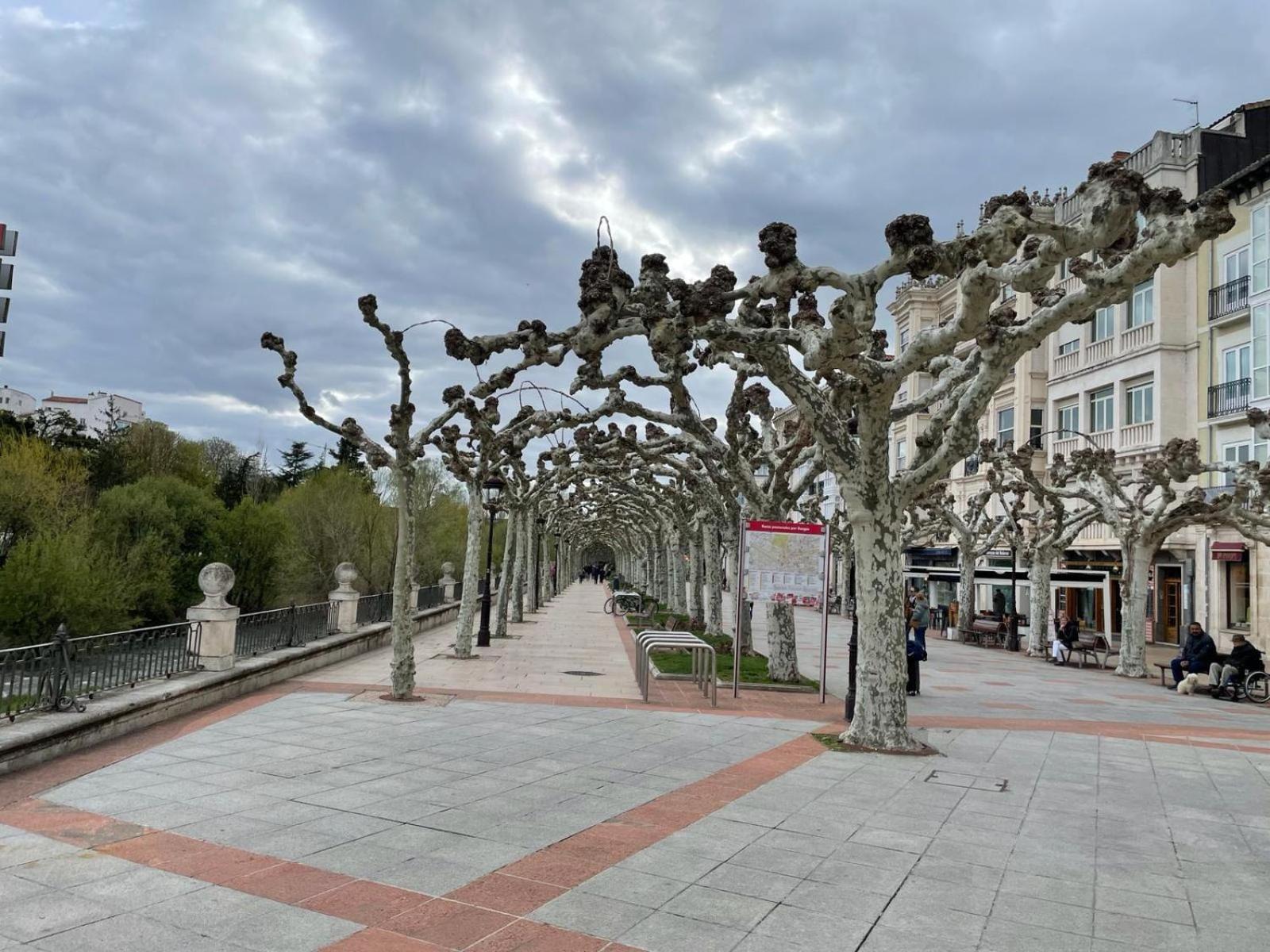 El Farolillo De La Catedral Vivienda De Uso Turistico Vut 9/251 Burgos